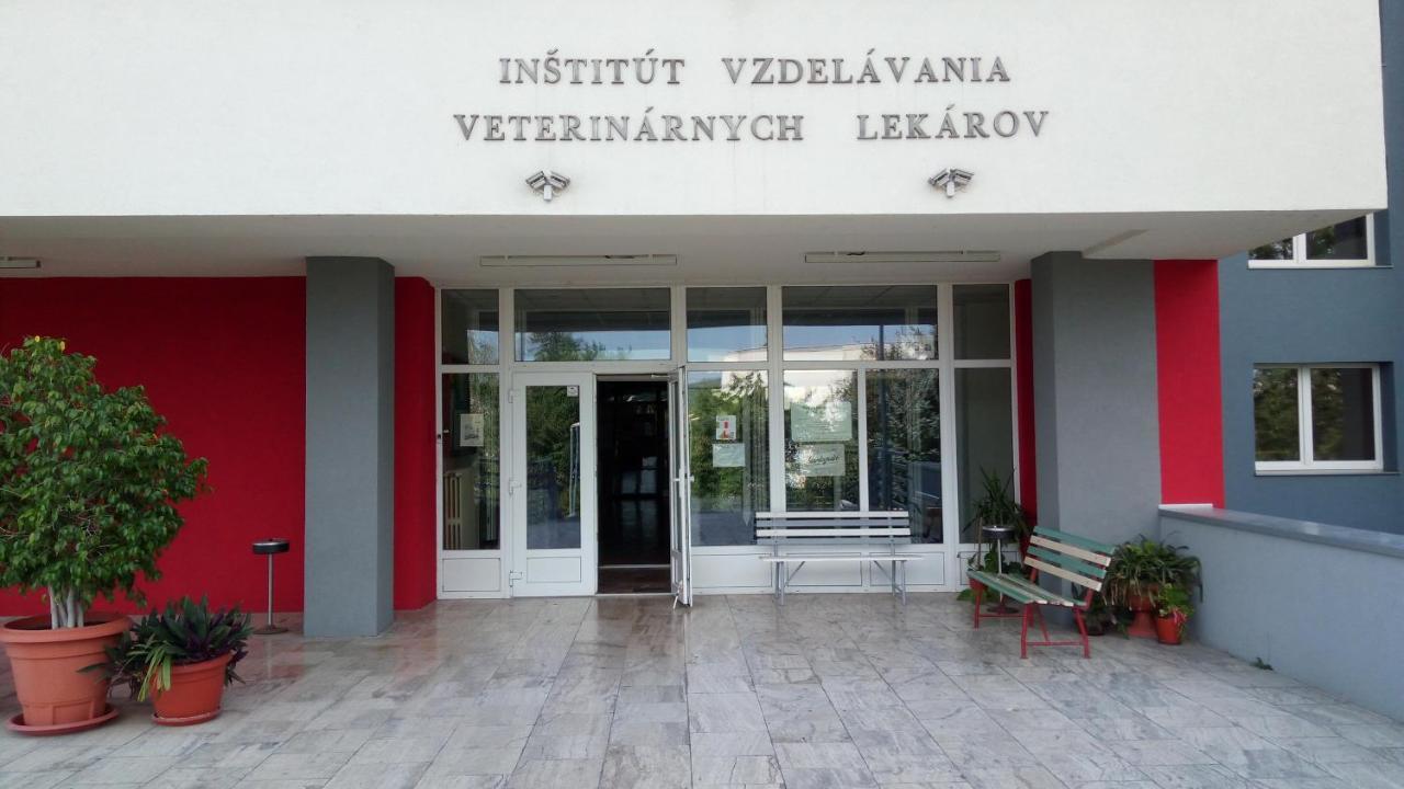 Penzion Institut Košice Eksteriør billede